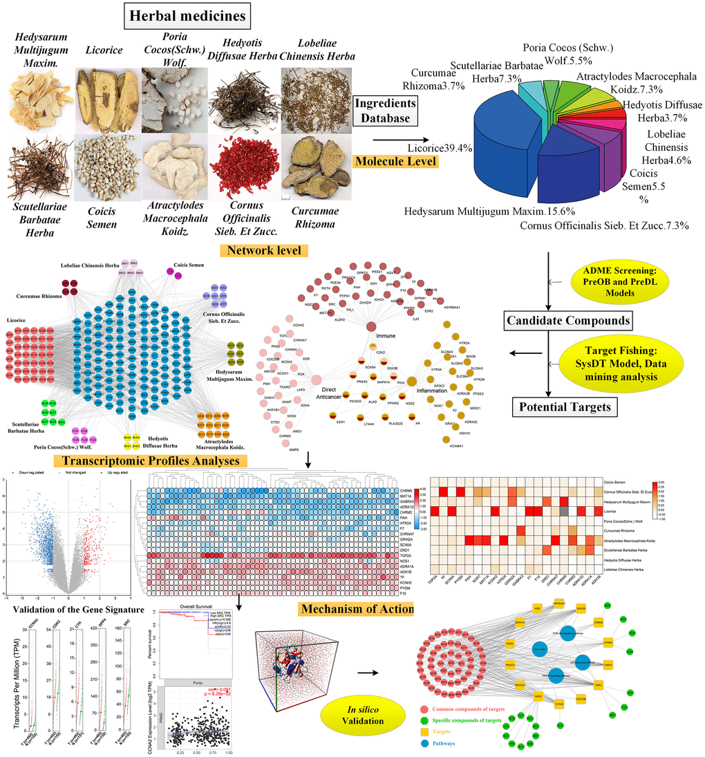 The detailed workflow of this study.