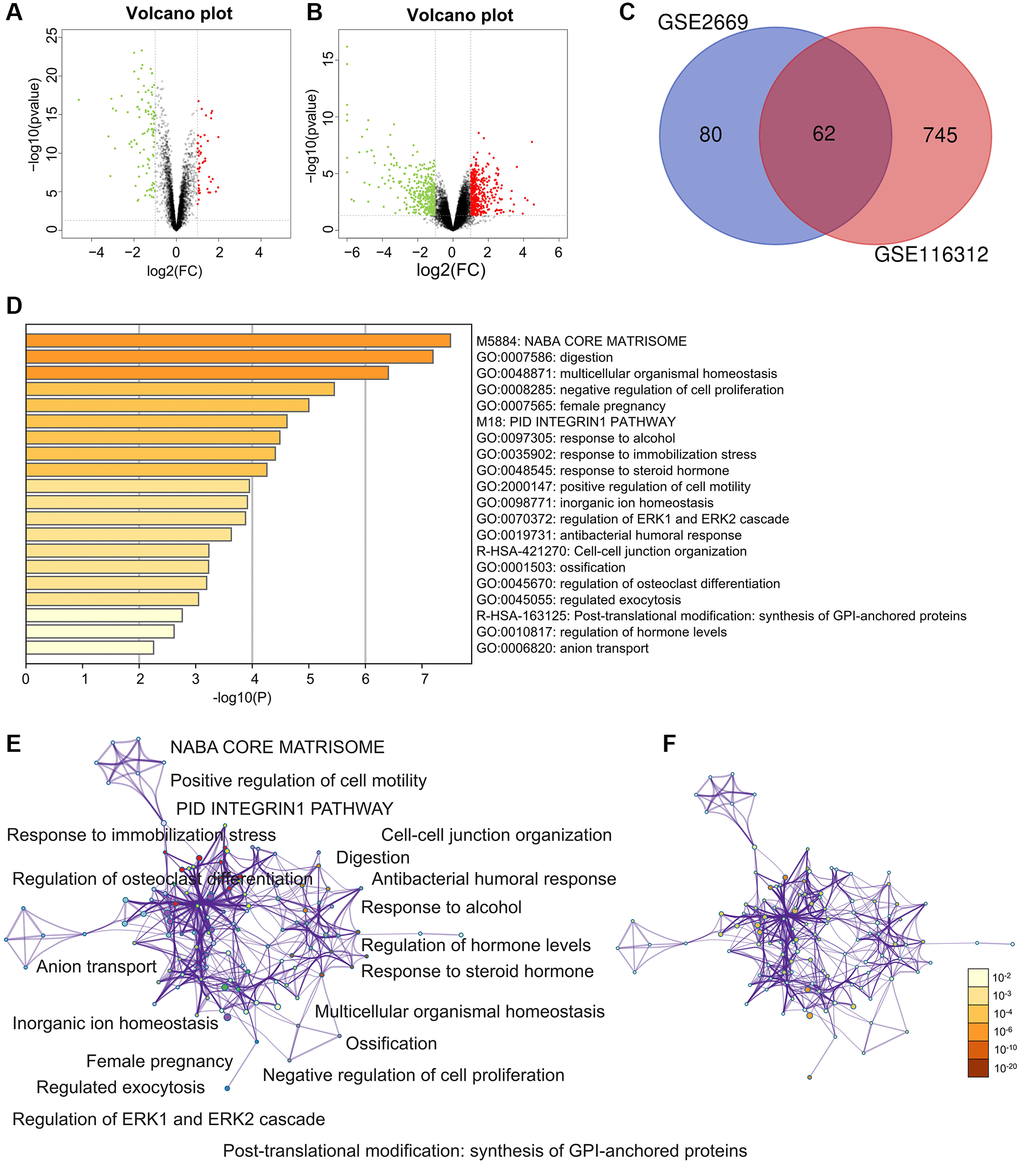 Differently expressed genes (DEGs) and enrichment analysis for the DEGs by Metascape. (A) The DEGs in the GSE2669. (B) The DEGs in the GSE116312. (C) The common DEGs between GSE2669 and GSE116312. (D) Heatmap of enriched terms across input differently expressed gene lists, colored by p-values, via the Metascape. (E) Network of enriched terms colored by cluster identity, where nodes that share the same cluster identity are typically close. (F) Network of enriched terms colored by p-value, where terms containing more genes tend to have a more significant p-value.