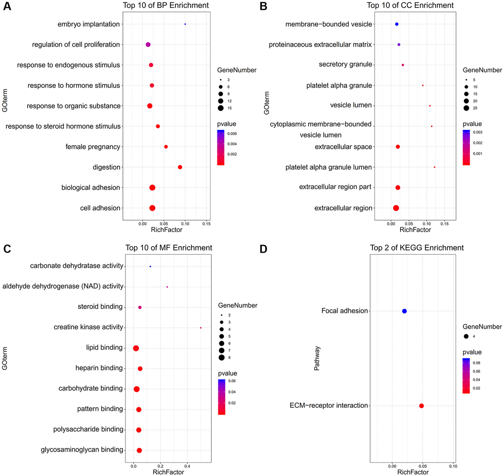 The functional annotation for the DEGs based on the DAVID. (A) BP, (B) CC, (C) MF, and (D) KEGG.