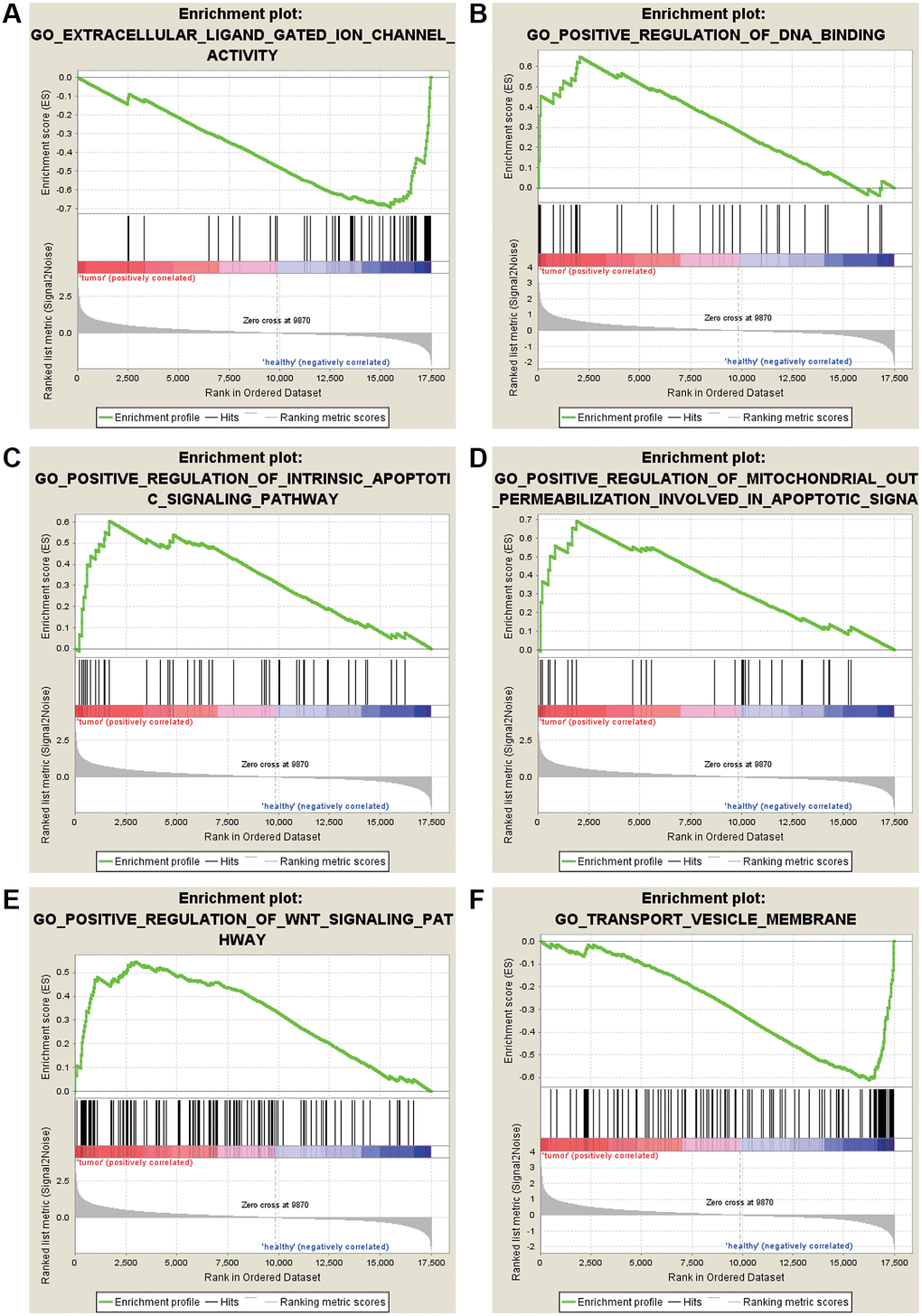 GO enrichment analysis for the DEGs by GSEA. (A) Extracellular ligand gated ion channel activity. (B) Positive regulation of DNA binding. (C) Positive regulation of intrinsic apoptotic signaling pathway. (D) Positive regulation of mitochondrial out permeabilization involved in apoptotic signaling pathway. (E) Positive regulation of WNT signaling pathway. (F) Transport vesicle membrane.
