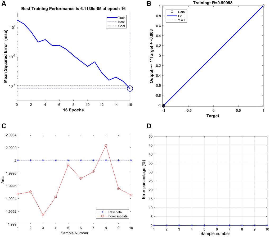 Strong correlation between THBS2, VCAN, and gastric cancer based on the BP neural network. (A) Best Training Performance is 6.1139e-05. (B) The relativity was 0.99998. (C and D) The model verified the result, and there were only no significant differences between the predicted and actual values.