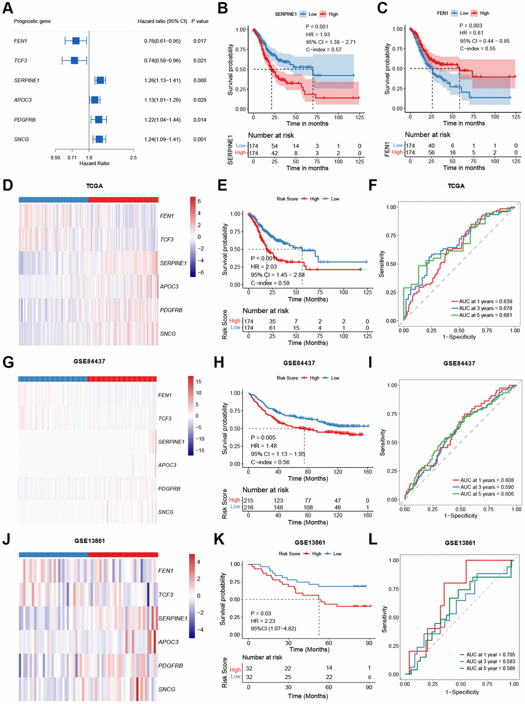 Model construction and validation. (A) Potential prognostic valued of each senescence-related genes in the overall survival (OS) of gastric cancer (GC). (B, C) Kaplan-Meier curves comparing the OS between patients with high and low expressions of SERPINE1 (B) and FEN1 (C), respectively. (D–L) Heatmap, Kaplan-Meier curves, and ROC curves depicting the gene expression patterns, survival status, and prognostic valued of the model in the TCGA-STAD (D–F), the GSE84437 (G–I), and the GSE13861 (J–L), respectively.