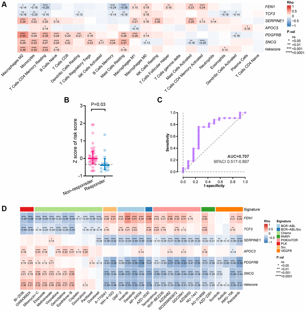 Correlation between the six-gene signature and tumor immune features. (A) Correlation between immune infiltration and the risk-score by Spearman analysis. (B) Comparison of the risk-score between responders and non-responders to immunotherapy in PRJEB25780 cohort. (C) Time-dependent ROC curve for the risk-score in predicting response to immunotherapy (D) Heatmap showing the Spearman analysis results of the risk-score in drug sensitivity.