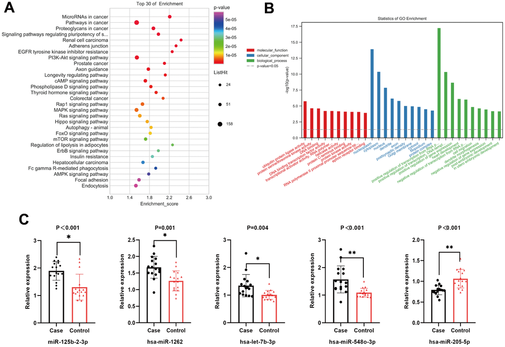 (A) Top 20 statistically significantly enriched pathways in Kyoto Encyclopedia of Genes and Genomes (KEGG) analysis. (B) Gene Ontology (GO) analysis for the target genes of five differentially expressed miRNAs. (C) The relative expression level of five differentially expressed miRNAs.