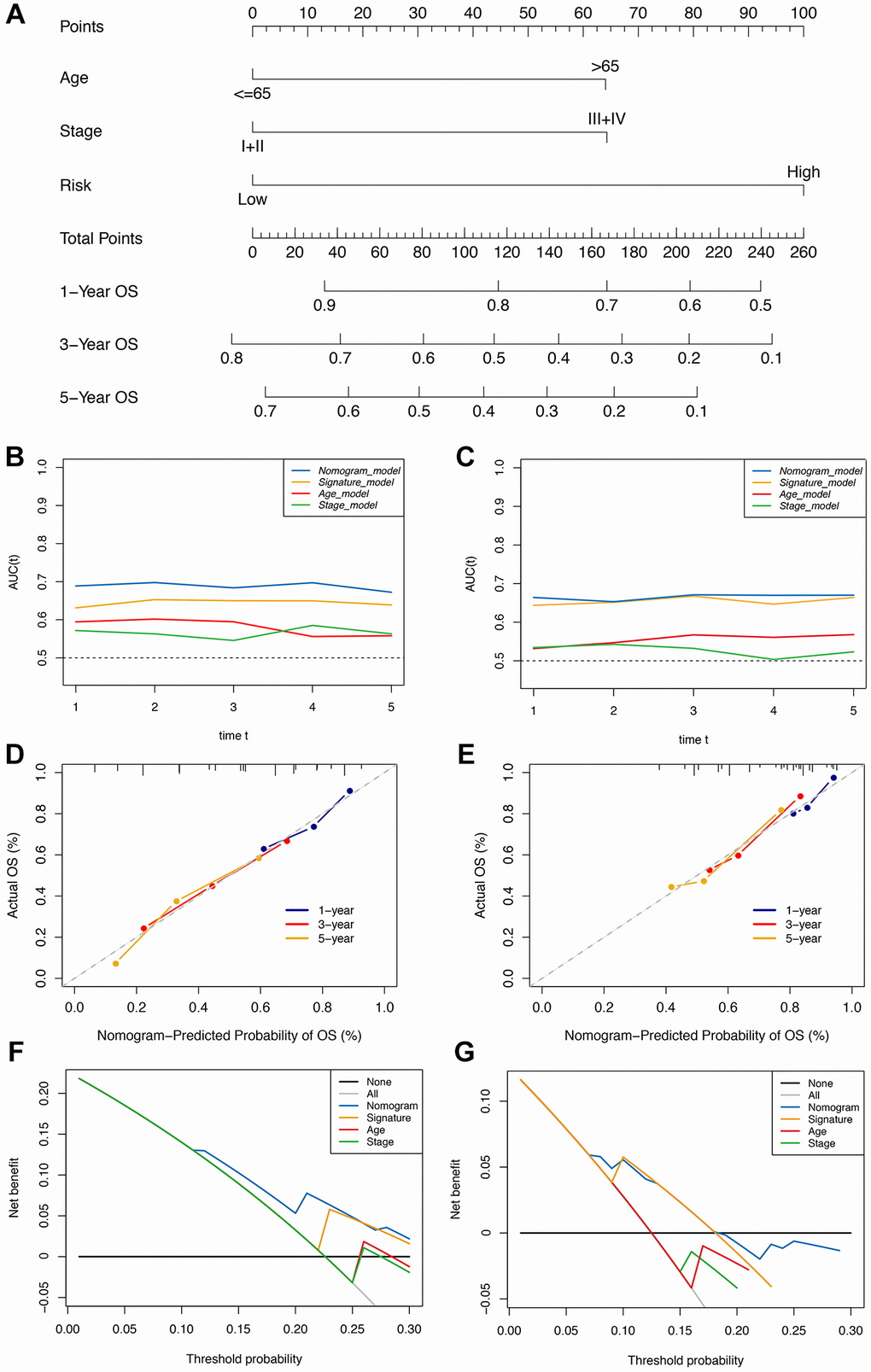 Construction of the immune-clinical nomogram. (A) The nomogram for predicting 1-year, 3-year, and 5-year OS for GC patients. (B, C) Time-dependent ROC curves for the nomogram, immune signature, age, and stage models at different time points in the TCGA and GEO datasets. (D, E) Calibration curves of observed and predicted probabilities for the nomogram in the TCGA and GEO datasets. (F, G) DCA curves for the nomogram in the TCGA and GEO datasets.