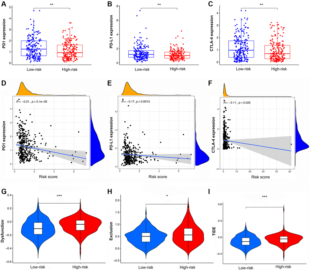 The analysis of TIDE score and expression of immune checkpoints in high- and low-risk groups. (A–C) The expression of PD1, PD-L1, and CTLA4 in different risk groups. (D–F) The co-expression patterns between immune checkpoints and risk scores. (G–I) The scores of immune dysfunction, immune exclusion, and TIDE in different risk groups.