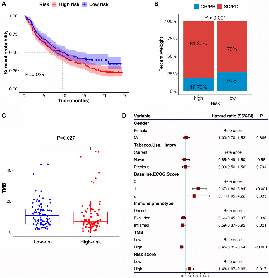 The IRS in the role of immune checkpoint blocker treatment. (A) Kaplan-Meier survival curve of the high- versus low-risk group in the immunotherapy cohort (IMvigor210 cohort). (B) The proportion of immune response to immunotherapy in high versus low-risk group. (C) The tumor mutation burden in the immunotherapy cohort was compared among distinct risk groups. (D) Multivariate Cox regression analysis of the IRS with features in the immunotherapy cohort.