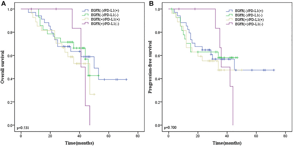 Kaplan-Meier survival curves according to EGFR and PD-L1 co-expression in ESCC patients. (A) OS survival curves of different subgroups. (B) PFS survival curves of different subgroups. Blue line indicates EGFR (−)/PD-L1(+); green line indicates EGFR (−)/PD-L1(−); yellow line indicates EGFR (+)/PD-L1(+); purple line indicates EGFR (+)/PD-L1(−). EGFR, Epidermal Growth Factor Receptor. Abbreviation: PD-L1: programmed death-ligand 1.