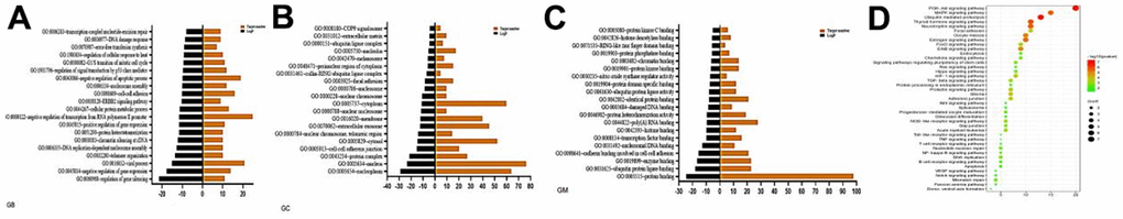 Enrichment of gene ontology (GO) and KEGG pathway. (A) GB analysis (B) GC analysis (C) GM analysis (D) Bubble diagram of signaling pathway.