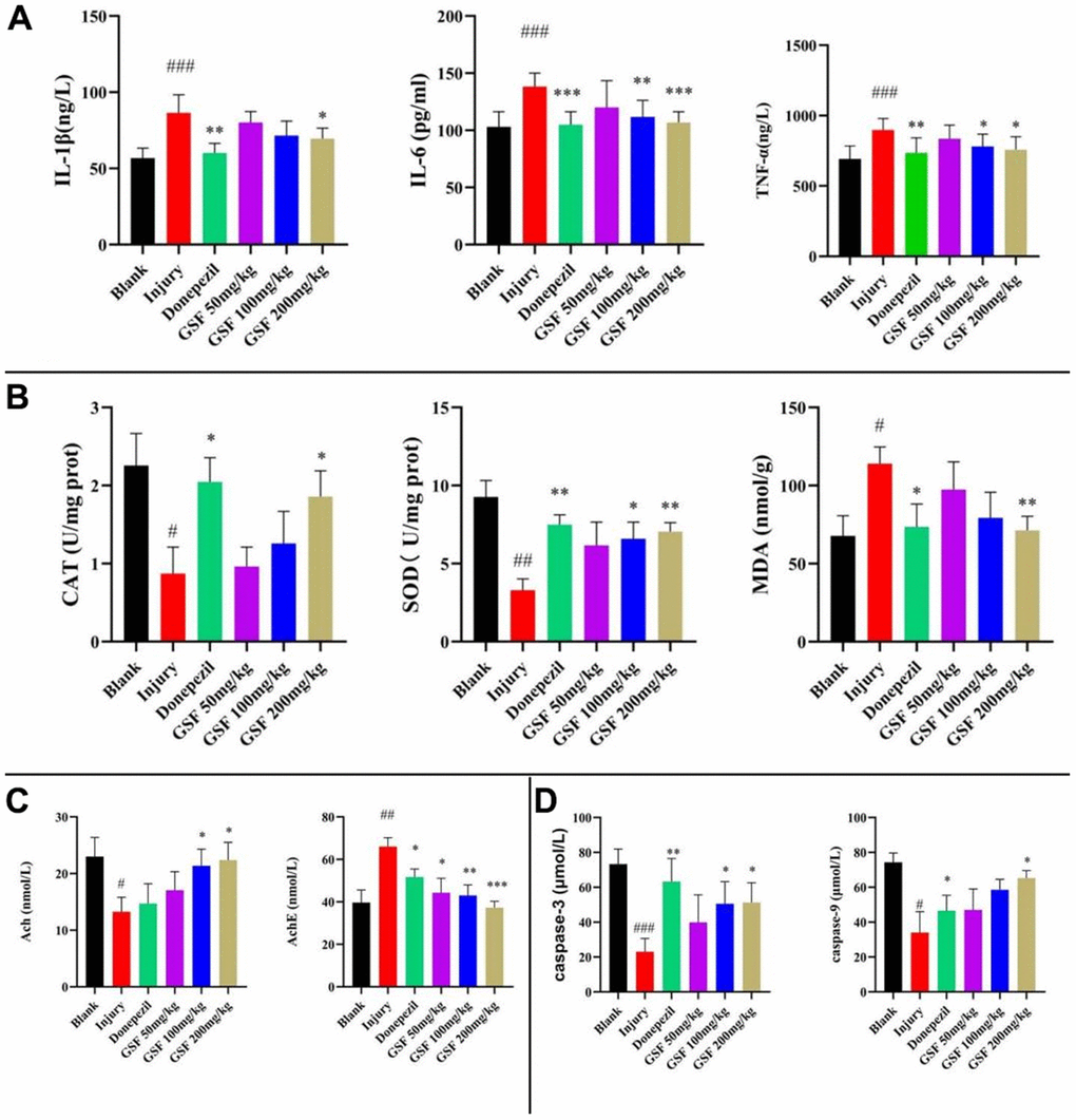 Inflammatory Factor and Oxidative Stress Marker Assays (A) Levels of inflammatory factors. (B) Brain oxidation indicator level testing. (C) Levels of Ach, AchE. (D) Contents of Caspase-3 and Caspase-9.