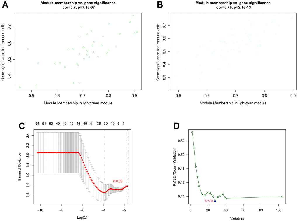 Associations between gene significance and module membership and identification of key genes of AF by machine learning. (A) Association between gene significance and module membership in the lightgreen module. (B) Association between gene significance and module membership in the lightcyan module. (C) The key genes identified by LASSO regression. (D) The key genes identified by the SVM-RFE algorithm.