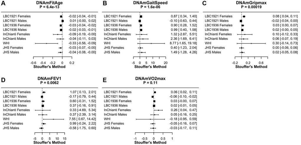 Meta-analysis forest plots for DNAmFitAge and DNAm fitness parameters relationship to physical activity or physical functioning in people with low to intermediate physical activity. Each panel reports the Stouffer’s meta-analysis p-value for combining coefficients across dataset cohorts after adjusting for chronological age. (A) DNAmFitAge, (B) DNAmGaitspeed, (C) DNAmGripmax, (D) DNAmFEV1, and (E) DNAmVO2max. DNAmFitAge, DNAmGaitSpeed, DNAmGripmax, and DNAmFEV1 are predictive of physical activity in low to intermediate physically active individuals.