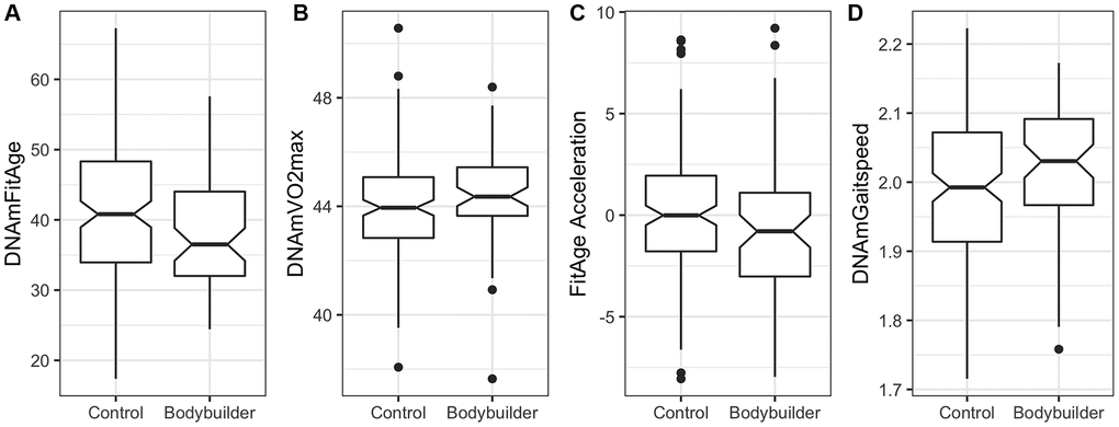 Boxplots showing spread of DNAm biomarkers between male controls (n = 149) and male body builders (n = 66) in the Polish study. (A) DNAmFitAge is younger on average in the male body builders, (B) DNAmVO2max is fitter on average in the male body builders, (C) FitAge Acceleration and (D) DNAmGaitspeed are suggestively improved in body builders but not significantly different at 0.05.