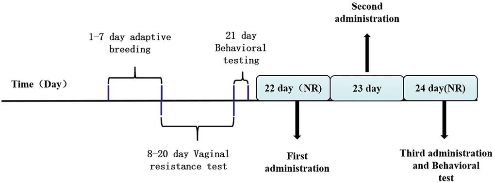 The drug management and behavioral testing schedule.