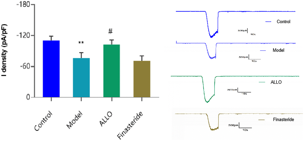Cl- current density in hippocampal neurons. Compared with the normal group: *p **p #p ##p 