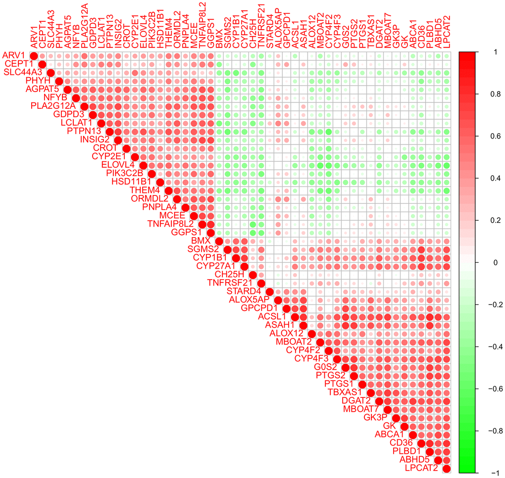 Pearson correlation analysis of the 50 lipid-related differentially expressed genes (DEGs).