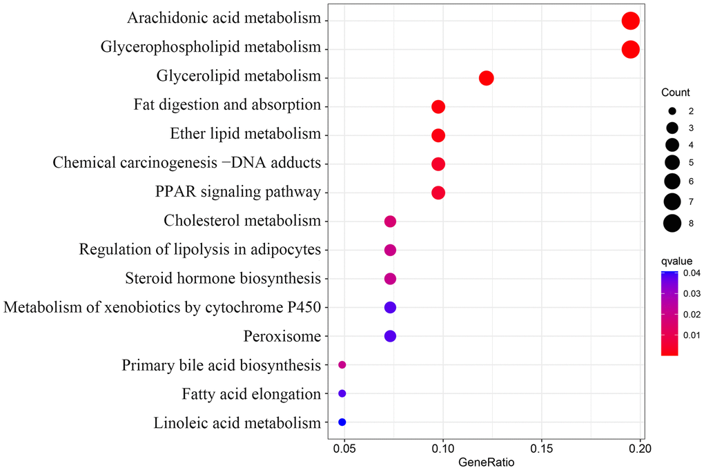 Kyoto Encyclopedia of Genes and Genomes (KEGG) pathway analysis of 50 lipid-related differentially expressed genes (DEGs).