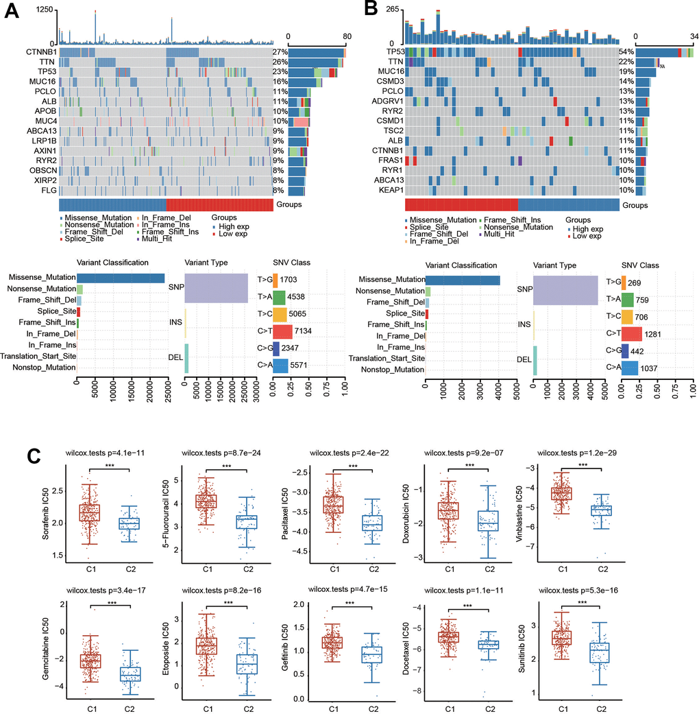 Mutational landscape and drug sensitivity of two clusters. (A) The landscape of mutation profiles in C1. (B) The landscape of mutation profiles in C2. Variant classification, variant types and SNV classification are shown. (C) Comparison of drug sensitivity in the two clusters. ***p 