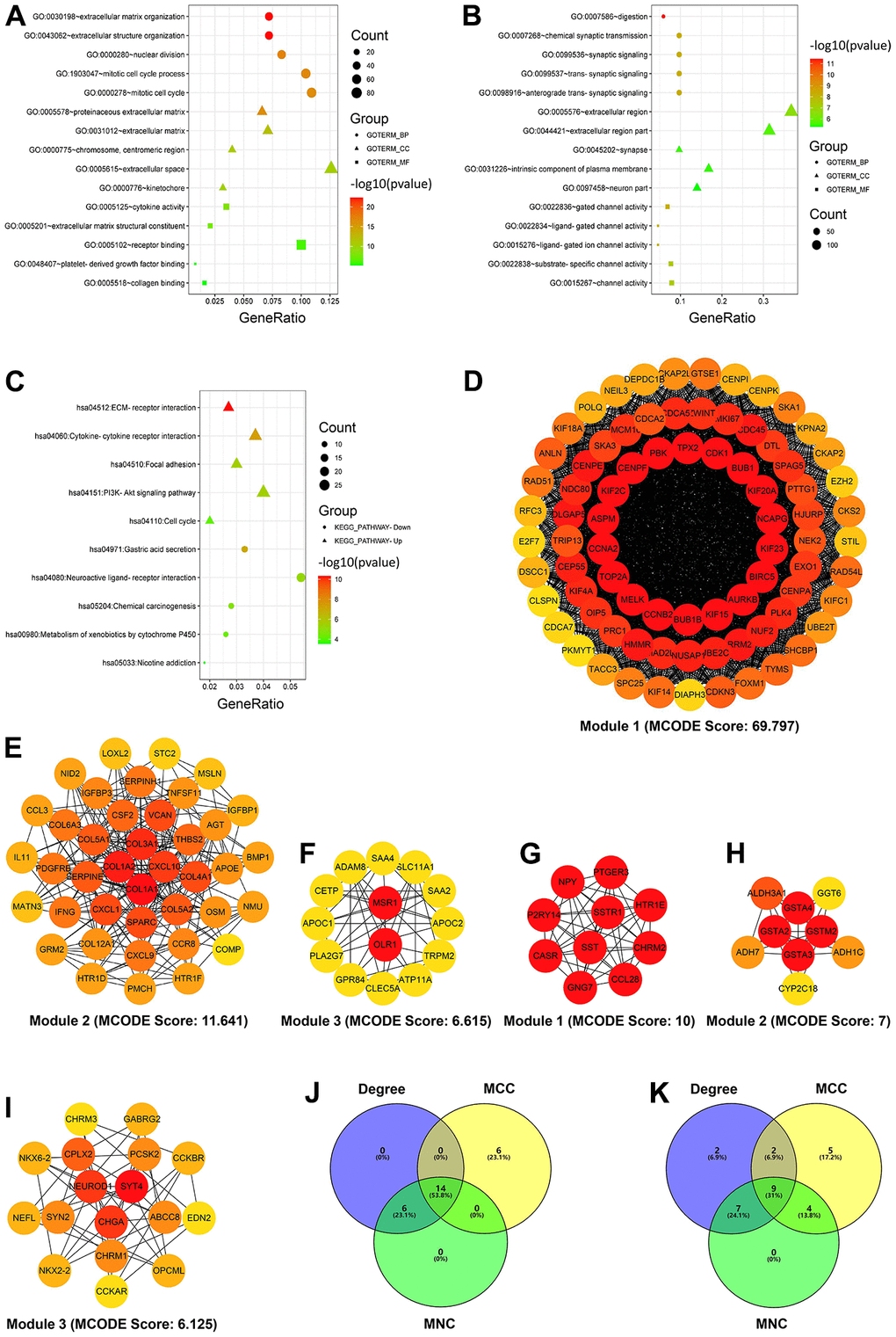 Enrichment and module analyses of differentially expressed genes (DEGs). (A) GO enrichment analysis of the upregulated DEGs. (B) GO enrichment analysis of the downregulated DEGs. (C) KEGG pathway enrichment analysis of the up- and downregulated DEGs. (D–F) Top three modules of the PPI network from the upregulated DEGs (the color intensity of circles represents the connectivity degree of DEGs). (G–I) Top three modules of the PPI network from the downregulated DEGs (the color intensity of circles represents the connectivity degree of DEGs). (J, K) Three algorithms to screen the up- (J) and downregulated candidate hub genes (K) using the Venn diagram. Degree, node connect degree; DEGs, differentially expressed genes; GO, Gene Ontology; KEGG, Kyoto Encyclopedia of Genes and Genomes; MCC, maximal clique centrality; MNC, maximal neighborhood component; and PPI, protein–protein interaction.