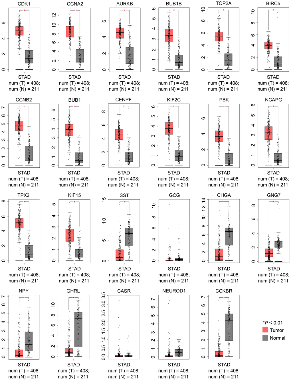 Validation of the expression levels of 23 candidate hub genes between GC and normal controls using the GEPIA2 database. |Log2FC|: 1 and P-value: 0.01 were set as the cutoff. FC, fold change; GC, gastric cancer; GEPIA, Gene Expression Profiling Interactive Analysis. N, normal; STAD, stomach adenocarcinoma; and T, tumor.