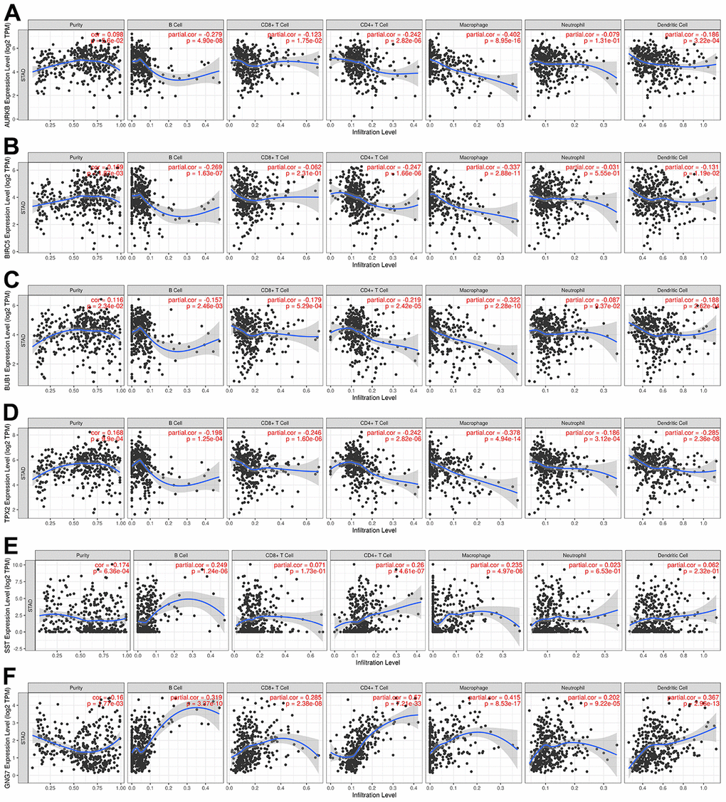 Correlations between the expression levels of signature genes in GC and immune infiltration using TIMER. (A) AURKB, (B) BIRC5, (C) BUB1, (D) TPX2, (E) SST, and (F) GNG7. P 