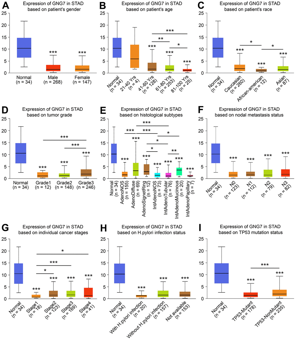 Relationships between GNG7 expression and clinicopathological parameters. Associations between the expression of GNG7 and sex (A), age (B), race (C), tumor grade (D), histological subtypes (E), nodal metastasis status (F), cancer stage (G), Helicobacter pylori infection status (H), and TP53 mutation status (I) of patients with STAD (UALCAN). STAD, stomach adenocarcinoma. *P P P 