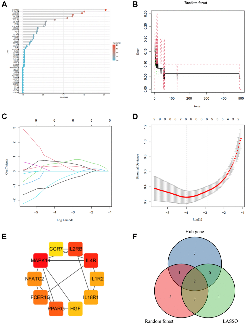 Screen for Core IRGs in SCI. (A, B) Random forest algorithm to screen Core IRGs; (C, D) LASSO algorithm to screen Core IRGs; (E) PPI analysis to screen Core IRGs in Cytohubba; (F) Wayne diagram to obtain the intersection of the three algorithms.