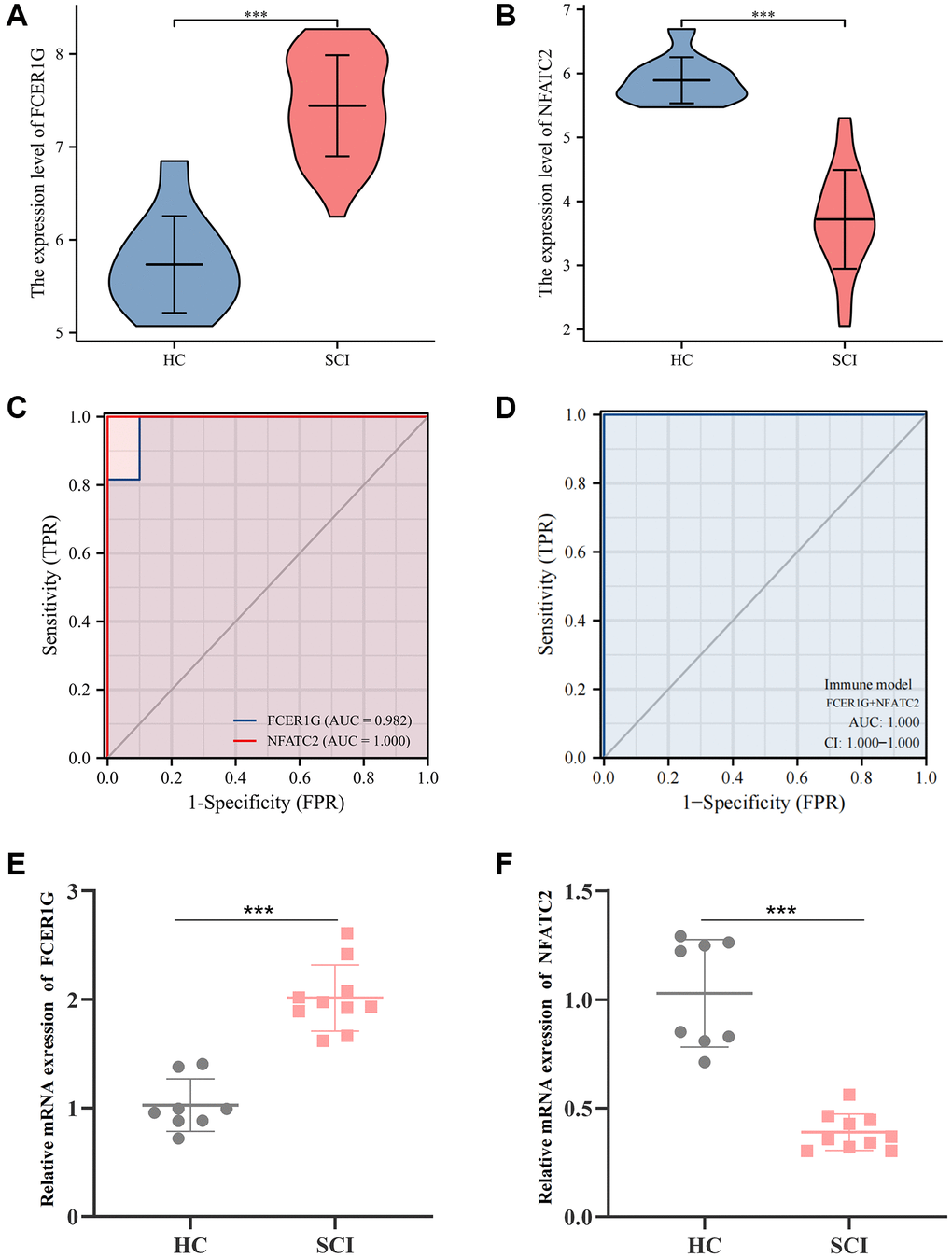 Diagnostic value and validation of Core IRGs. (A, B) The expression levels of Core IRGs in GSE151371; (C, D) ROC curve analysis for Core IRGs; (E, F) Validation of Core IRGs expression by qPCR analysis between SCI patients (n = 10) and healthy controls (n = 8). *p **p ***p 