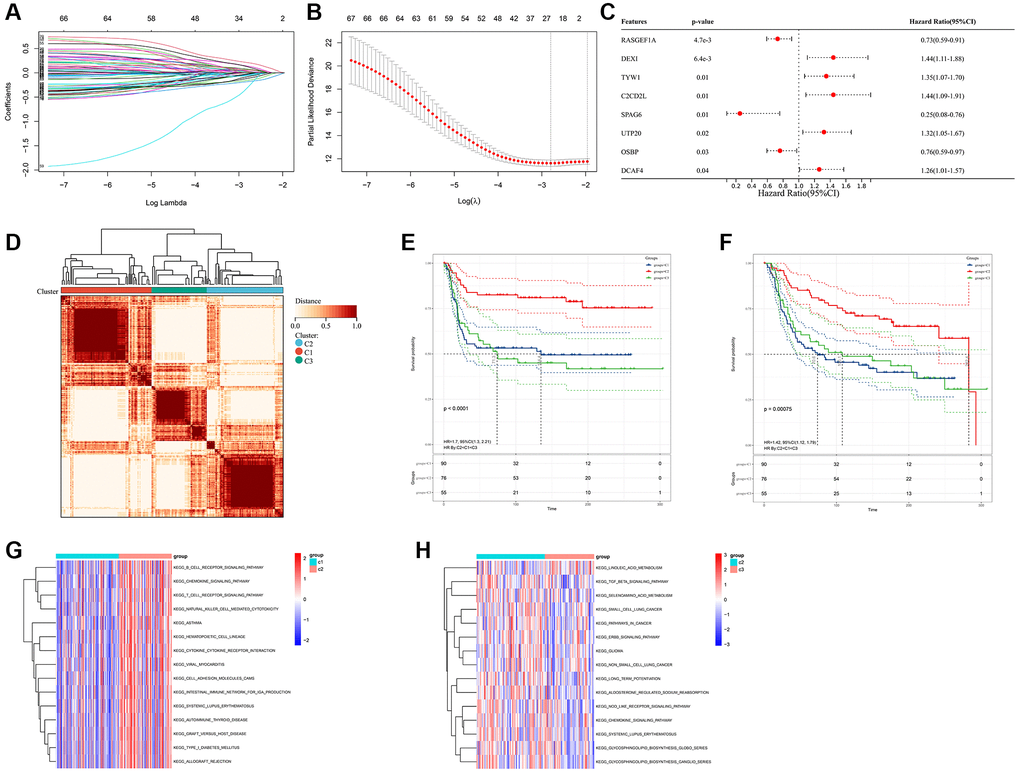 Different FAM clusters mediated by FAM-related genes. (A) 78 prognostic FAM genes were further selected by Lasso regression algorithm. (B) 8 prognostic FAM-related genes were finally identified applying multivariate Cox regression model. (C) Forest plot visualize the prognostic value of 8 prognostic FAM-related genes. (D) Three distinct FAM clusters were established based on the expression of prognostic FAM genes using Consensus Clustering analysis of the NMF algorithm. Survival analyses for RFS (E) and OS (F) among different FAM clusters in METABRIC-TNBC cohort. (G) Differences in KEGG pathways between the FAM cluster-C1 and FAM cluster-C3. (H) Differences in KEGG pathways between the FAM cluster-C2 and FAM cluster-C3.