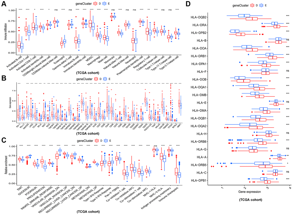 Different immune and cancer-related characteristics in gene cluster D and E. (A) The 23 kinds of immune cells in the two gene clusters. (B) Significant differences in expression of immune checkpoint between the two gene clusters. (C) The enrichment levels of cancer-related signatures in the two gene clusters. (D) Expression levels of HLA genes between gene cluster D and E. *p **p ***p 