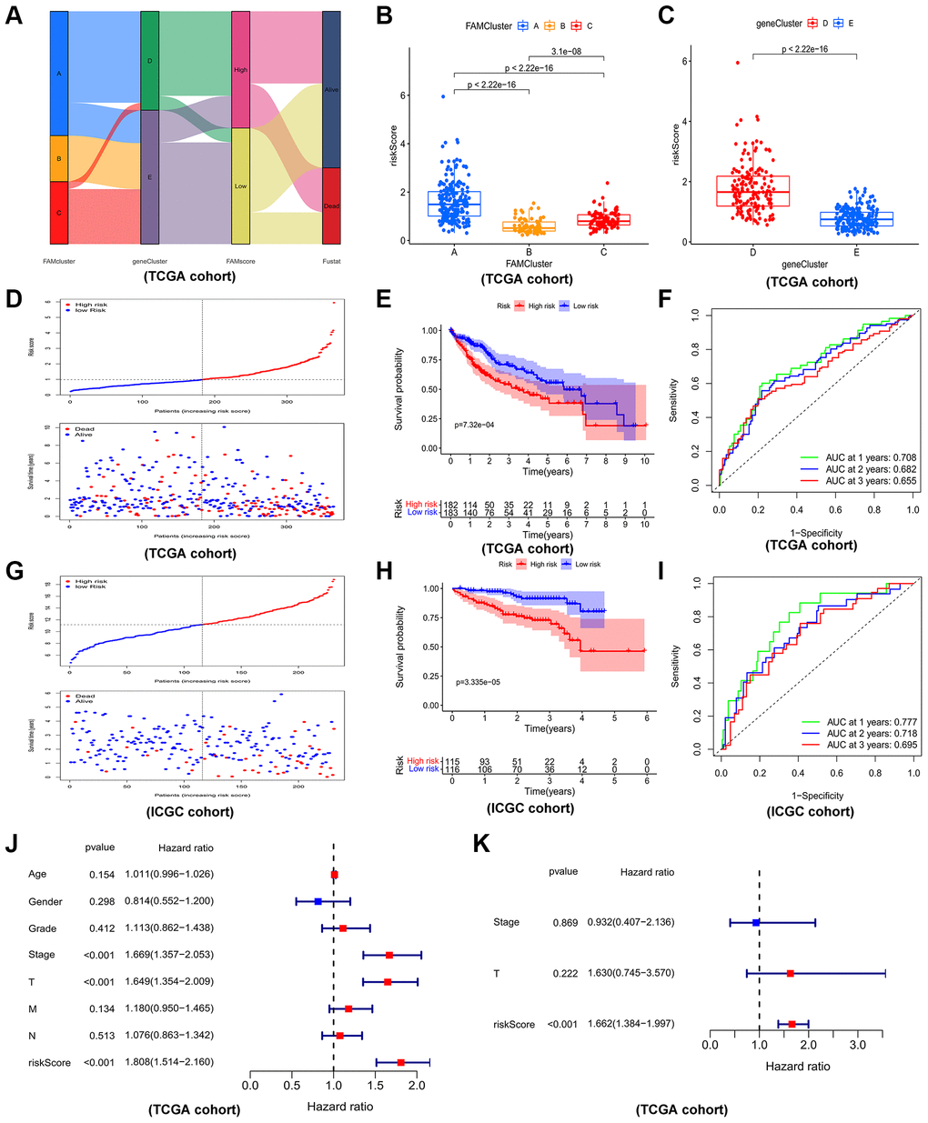 Construction and validation of prognostic risk model. (A) Alluvial diagram depicting the relationship of FAMcluster, genecluster, risk score (FAMscore) group and survival state. Boxplots of risk score in different FAMclusters (B) and geneclusters (C) Risk score distribution and scatter plots showing the risk score distribution and patient survival status in TCGA (D); Kaplan–Meier analysis of OS between the two groups in TCGA (E); ROC curves to predict the sensitivity and specificity of 1-, 3-, 5-year survival according the risk score in TCGA (F). Risk score distribution and scatter plots (G), Kaplan–Meier curves (H), ROC curves (I) of the risk model in ICGC cohort. The univariate (J) and multivariate (K) independent prognostic analysis of the model in TCGA cohort. Abbreviations: TCGA: the cancer genome atlas database; ICGC: International Cancer Genome Consortium; OS: overall survival; ROC: receiver operating characteristic.