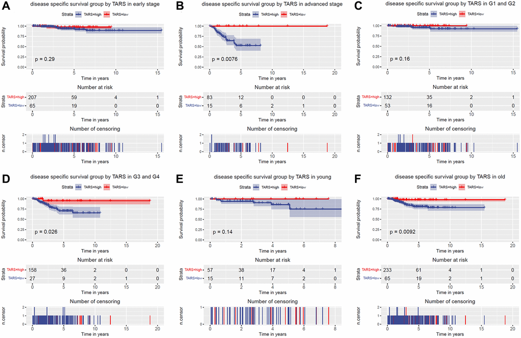 Disease specific survival grouped TARS expression. Disease specific survival group by GJB3 in (A) early stage, (B) advanced stage, (C) G1 and G2, (D) G3 and G4, (E) young, and (F) old.