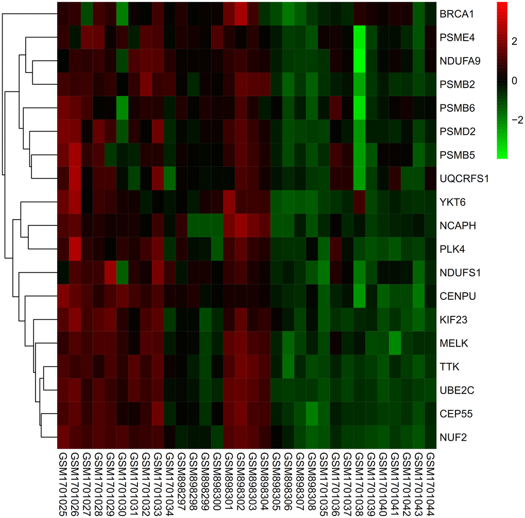 Heat map. The expression levels of all genes were up-regulated in the tumor group.