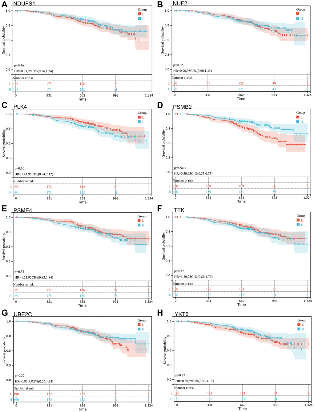 Survival analysis, forest map. (A) NDUFS1: p = 0.36, HR = 0.83, 95% CI (0.56, 1.24); (B) NUF2: p = 0.62, HR = 0.90, 95% CI (0.60, 1.35); (C) PLK4: p = 0.10, HR = 1.41, 95% CI (0.94, 2.12); (D) PSMB2: p = 6.9e-4, HR = 0.50, 95% CI (0.33, 0.75); (E) PSME4: p = 0.32, HR = 1.23, 95% CI (0.82, 1.84); (F) TTK: p = 0.37, HR = 1.20, 95% CI (0.80, 1.79); (G) UBE2C: p = 0.37, HR = 0.83, 95% CI (0.56, 1.24); (H) YKT6: p = 0.27, HR = 0.80, 95% CI (0.53, 1.19).