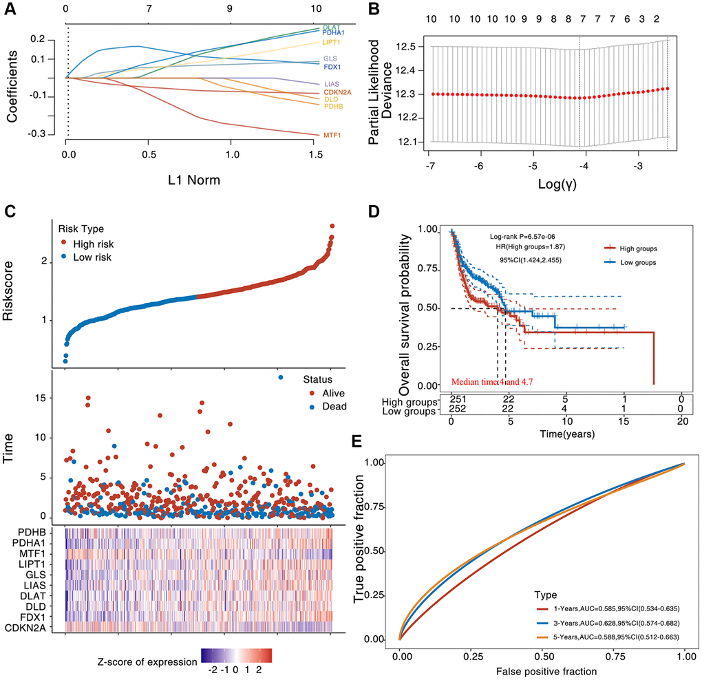 Prognostic of CAGs in HNSC. (A) The factors of the elected characteristic are shown as lambda parameters. (B) The partial likelihood deviance was plotted versus log (λ) using the LASSO Cox regression model. (C) Riskscore, survival time and survival status in the selected data set. (D, E) The KM survival curve distribution of the risk model in the data set, among which different groups were tested by log rank (D). The ROC curve and AUC of the risk model at different times (E), where the higher the AUC value, the stronger the predictive ability of the model.