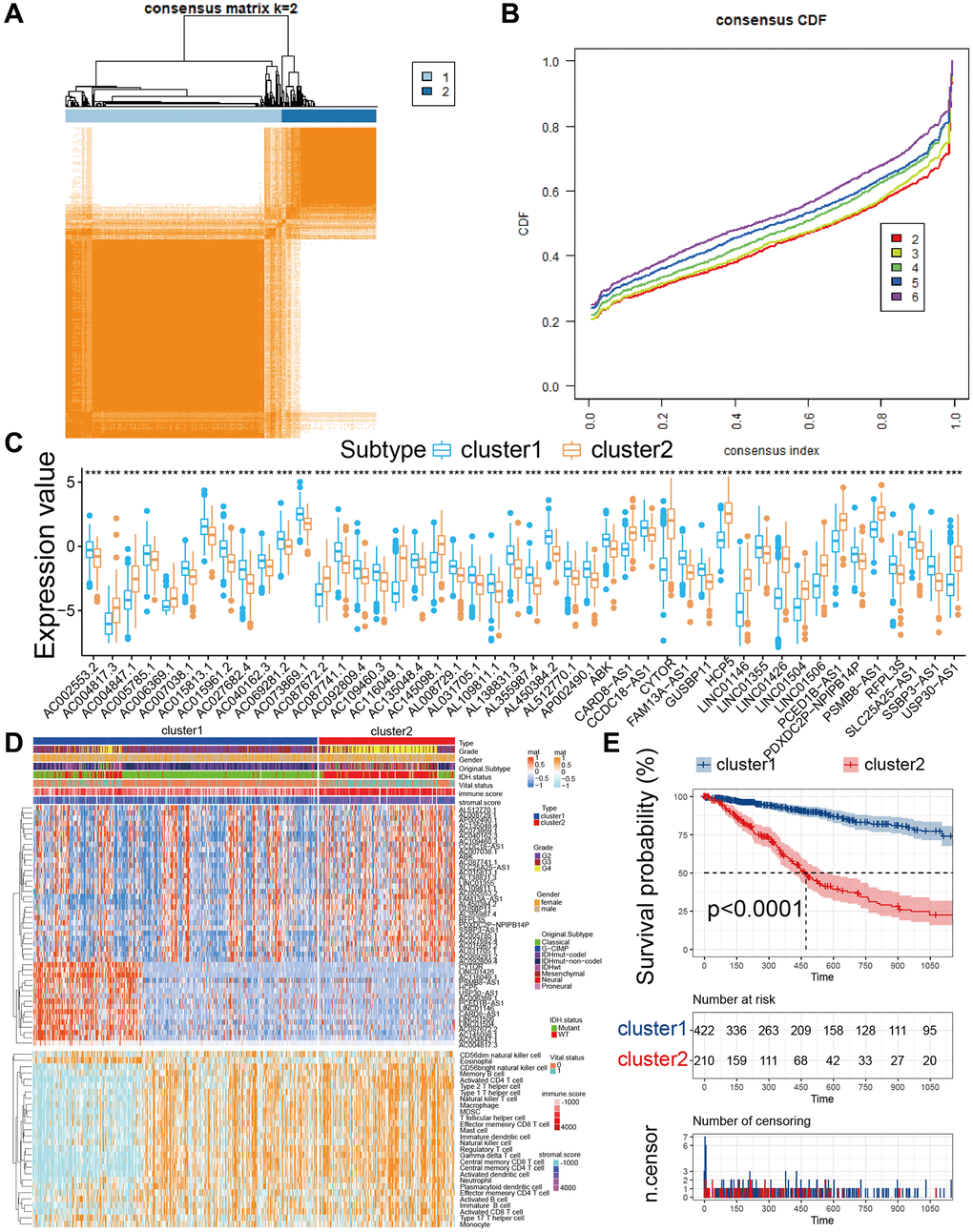 Subgroups of glioma related by PRLs. (A) The consensus score matrix of all samples in TCGA cohorts at k = 2. (B) Consensus clustering cumulative distribution function (CDF) for k = 2–6 in TCGA cohort. (C) The expression of 46 PRLs between two cluster groups. (D) The heatmap for 46 PRLs and 22 kinds of immune cells. (E) KM curves for the two cluster groups (Log-rank test, p = 0.0001).