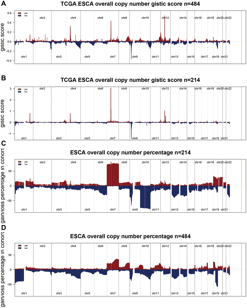 Comprehensive analyses of copy number variation between two cluster groups. (A, B) Detection and comparison of the percentage of significant scores between the two groups. (C, D) Detection and comparison of the percentage of significant gains and losses between the two groups.