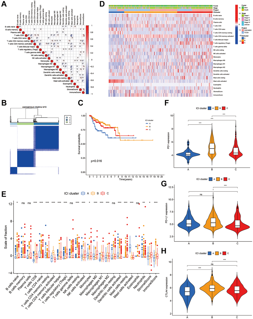 The landscape of immune cells in the TME of CC. (A) Correlation coefficient heatmap of the infiltrating immune cell types. (B) Unsupervised clustering of immune cells. (C) Kaplan-Meier curves of immune cell clusters. (D) Immune cell infiltration heat map. (E) The composition of immune cells in three ICI clusters. (F–H) The difference in PD1 (F), PD-L1 (G) and CLTA4 (H) expression among three ICI clusters.