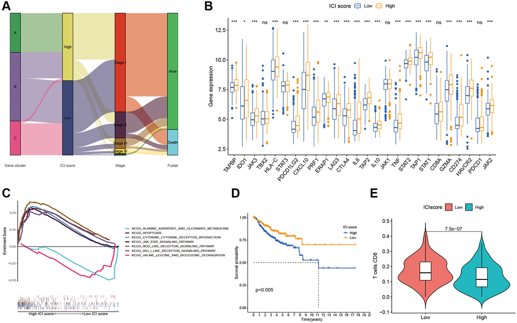 ICI Scores construction. (A) Sankey plot of ICI gene cluster, ICI scores, Stages, and OS. (B) Difference of immune-checkpoint, immune-activity-associated genes signature, and antigen presentation-related gene signature expression in the two ICI score subgroups. (C) Function pathways of ICI scores groups. (D) Kaplan-Meier plots of two ICI score groups. (E) The fraction of CD8+T cells in the two ICI score subgroups.