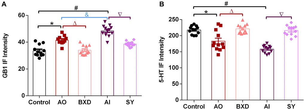 IF intensity of GB1 and 5-HT in the DRN. (A) GB1 intensity value, (B) 5-HT intensity value. Data are expressed as means ± SEM, *Anger-out group compared to the control group, #Anger-in group compared to the control group, &Anger-out group compared to Anger-in group, ΔAnger-out group compared to the BXD group, ∇Anger-in group compared to the SY group; P n = 12.