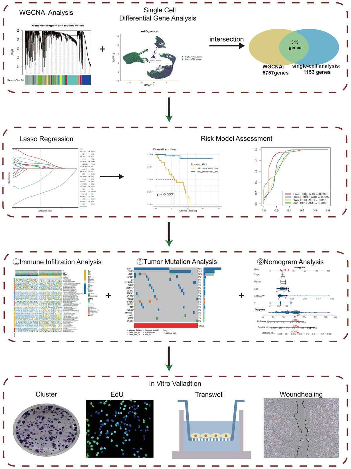 class="figure-viewer-img"