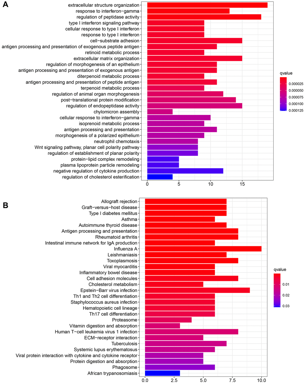 Functional enrichment of GRB10. (A) Functional enrichment was analyzed via GO. (B) Functional enrichment was analyzed via KEGG.