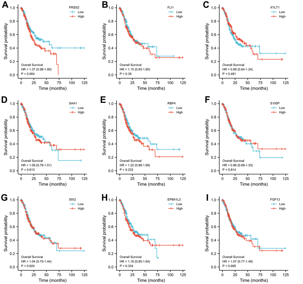The relationship between the expression level of selected genes and overall survival of gastric cancer patients. (A–I) Relationship between various molecules including PRSS2, SIX2, FGF13 and survival of gastric cancer patients.