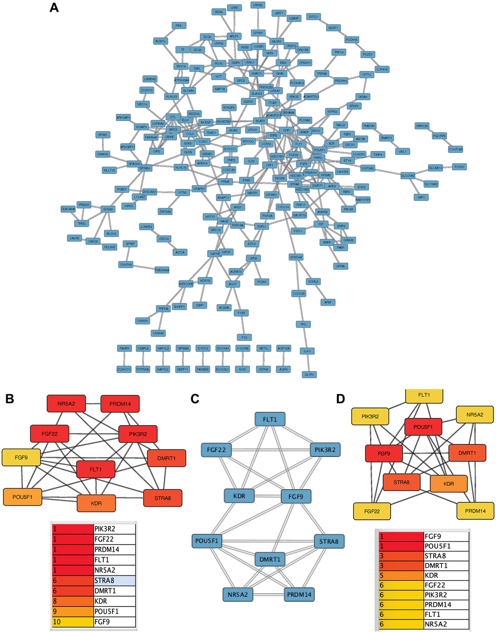 Construction and analysis of protein-protein interaction (PPI) network. (A) PPI network of DEGs. (B) MCC algorithm. (C) MCODE calculates the core module. (D) DMNC algorithm.