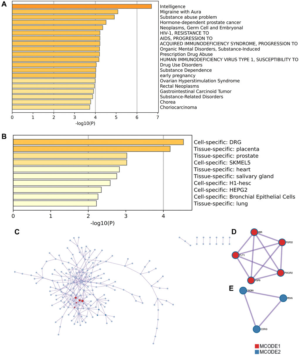 Enrichment analysis by Metascape. (A) modules about enriched disease terms (B) enriched terms about enriched cell species (C) PPI network (D) MCODE1 (E) MCODE2.