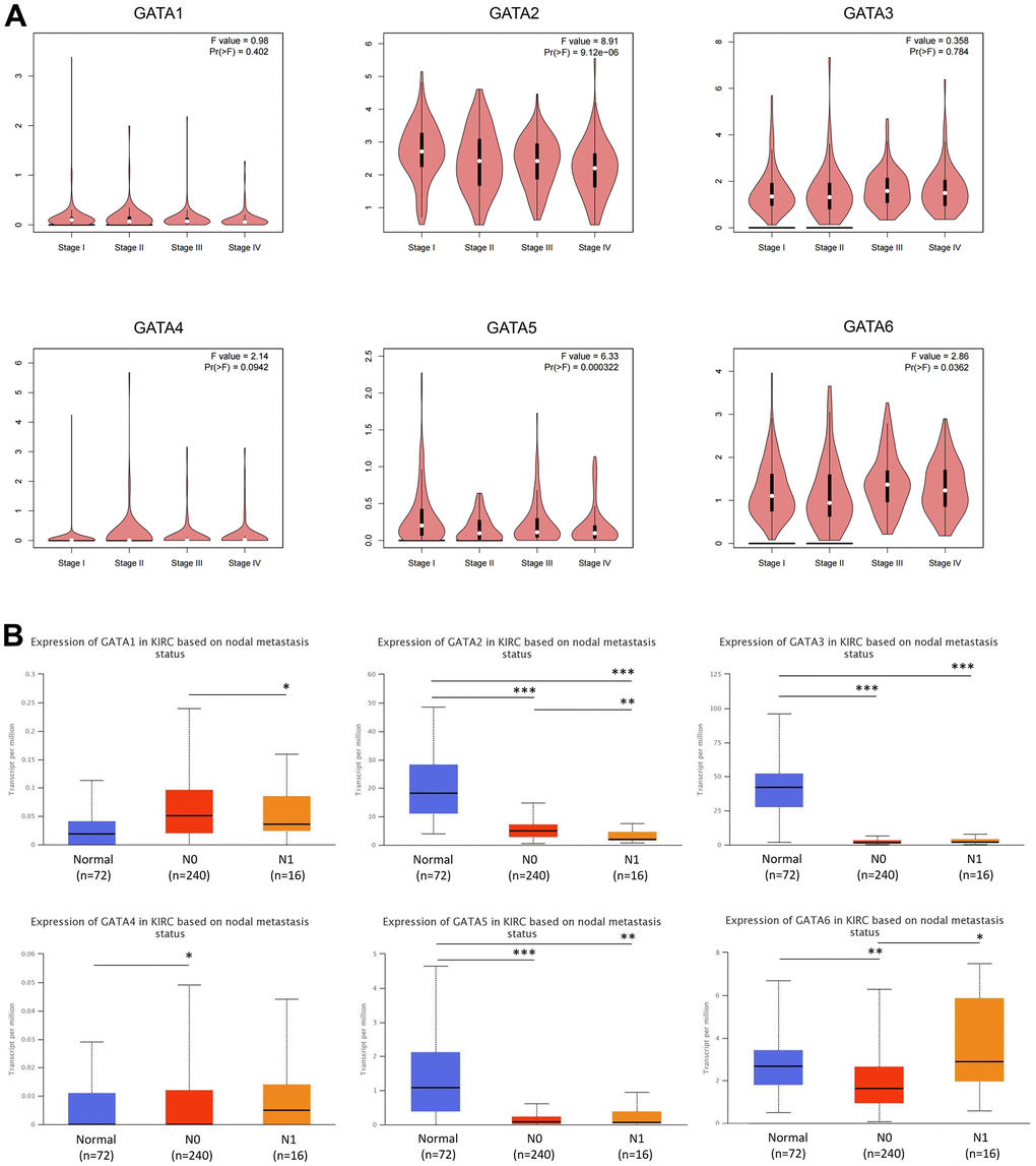 Association of GATA mRNA expression levels with clinical pathology. (A) The GEPIA database was used to evaluate the correlations of the expression of GATA1-6 with the pathological stage of disease in patients with KIRC. (B) The relationship between mRNA expression of GATA family members and lymph node metastasis in patients with KIRC. * p p p 