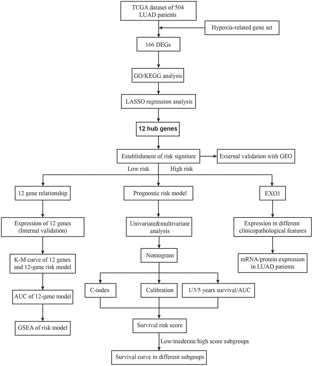 The flow chart of the study design.