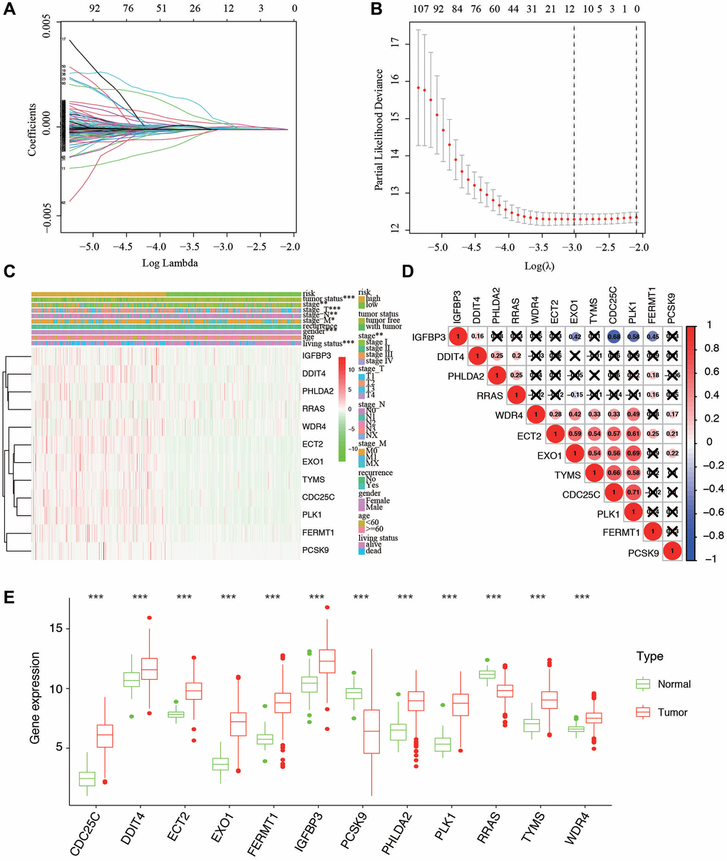 Ten-fold cross-validation for tuning parameter selection and a gene expression. (A) Plots of the ten-fold cross-validation error rates. (B) LASSO coefficient profiles of the twelve hypoxia-related genes. (C) Relationship between the risk score and clinical significance. (***P-value **P-value *P-value D) Associations between the 12 genes. (E) The expression of the 12 genes in different types of tissues.