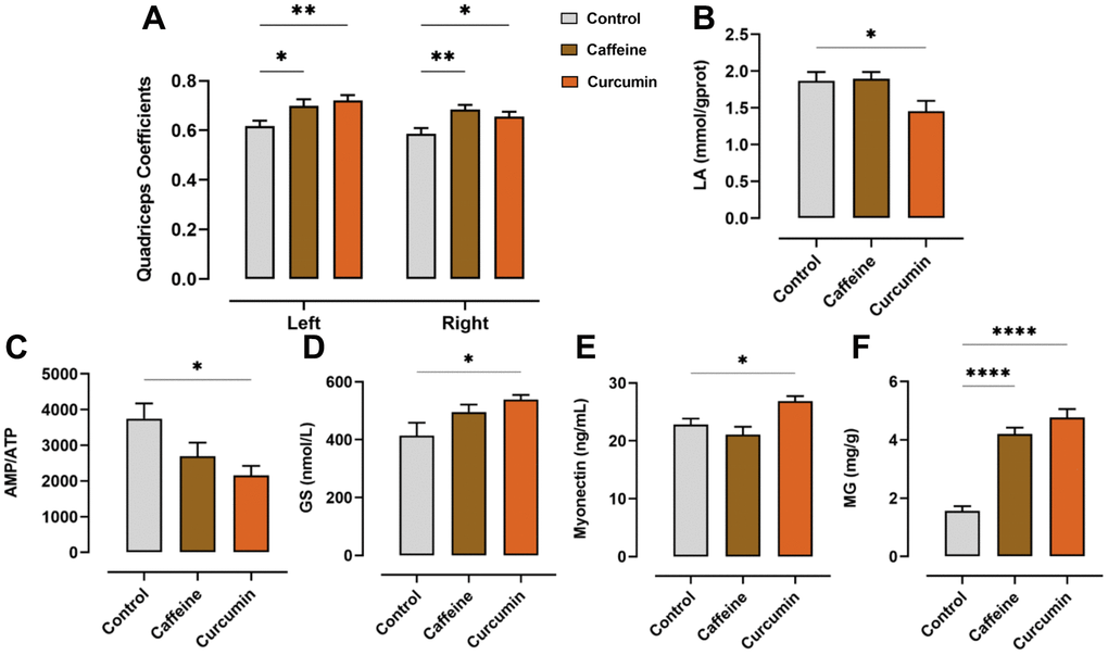 The results of quadriceps coefficient and ELISA for AMP, ATP, LA, MG, GS, and myonectin. (A) Quadriceps coefficient on both sides of the mouse (n=18). (B) LA content in the quadriceps muscle of mice. (C) The Ratio of AMP to ATP in the quadriceps muscle of mice (n=8, same below). (D) GS content of the quadriceps muscle in mice. (E) Myonectin content of the quadriceps muscle in mice. (F) MG content of the quadriceps muscle in mice. (*pppp