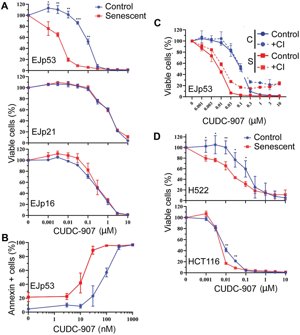 CUDC-907 has senolytic effects in different models of cellular senescence. (A) Cell viability of control (proliferating, blue) and senescent (6 days after tet removal, red) EJp53, EJp21 and EJp16 cells after treatment with different concentrations of CUDC-907 for 72h, as measured by a CTG assay. (B) Induction of apoptosis by different concentrations of CUDC-907 in control or senescent EJp53, as measured by Annexin V staining and FACs analysis. The percentages of Annexin V-positive cells are plotted. (C) Cell viability of control and senescent EJp53 after CUDC-907 treatment in the presence of DMSO (Control) or 10 μM of QVD-OPH (CI), as measured by a CTG assay. (D) Cell viability of control and senescent H522 and HCT116 72h after treatment with CUDC-907, as measured by a CTG assay. H522 were induced to senesce by exposure to 8 Gy of ionizing radiation and 6 days incubation. HCT116 were induced to senesce by exposure to 0.2 μM doxorubicin for 3 days. All values in this figure show mean ±SD of three independent experiments, and P values between each control and senescence pair are shown as *, P 